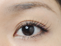 �܂уG�N�X�e